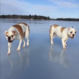 Meet your Posher, Cat